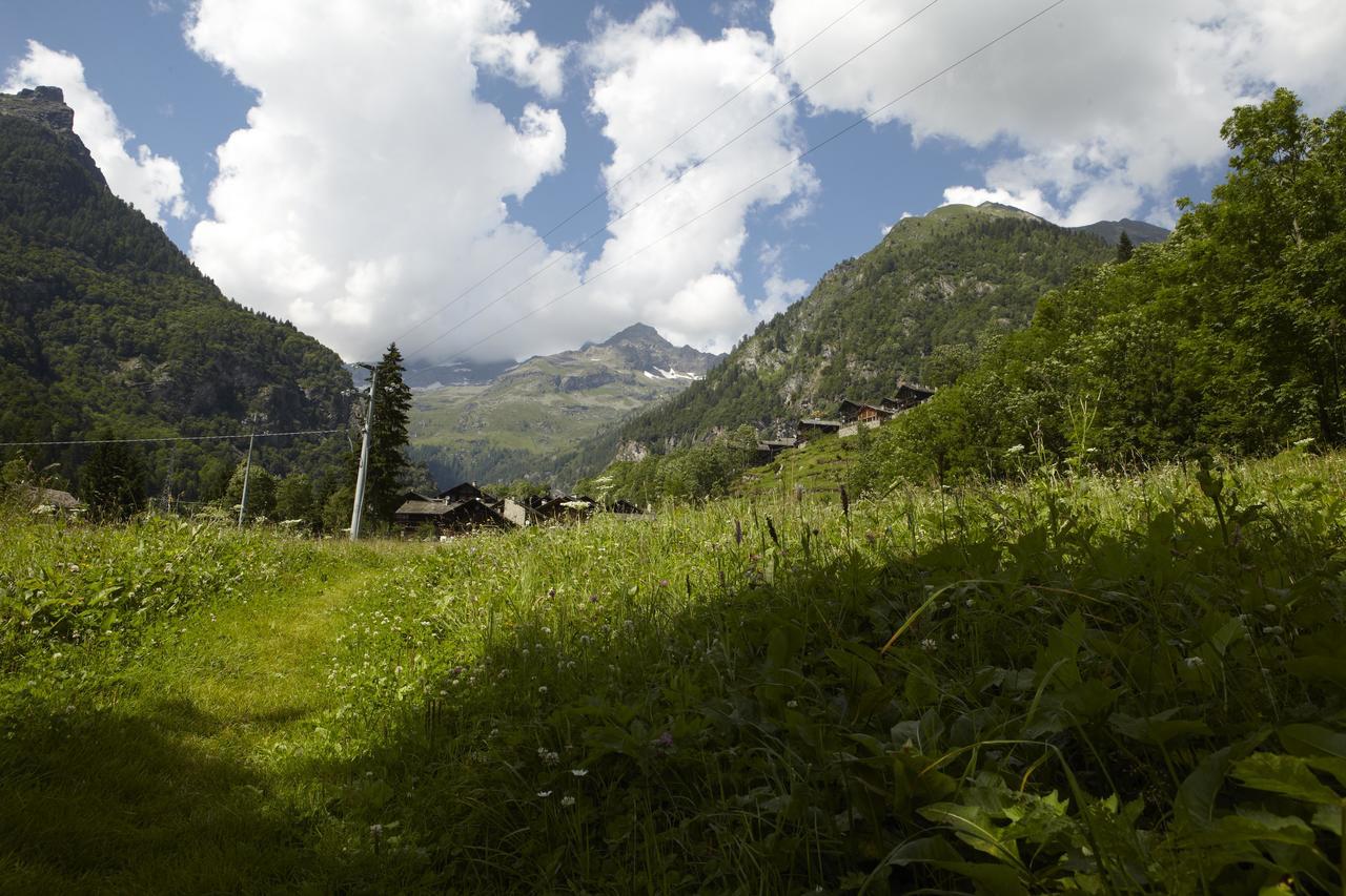 Hotel Monterosa ألانيا فالسيزيا المظهر الخارجي الصورة